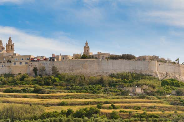 Excursión a Mdina y los acantilados de Dingli